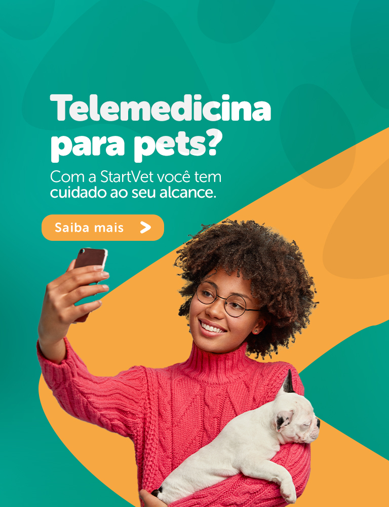Telemedicina para pets