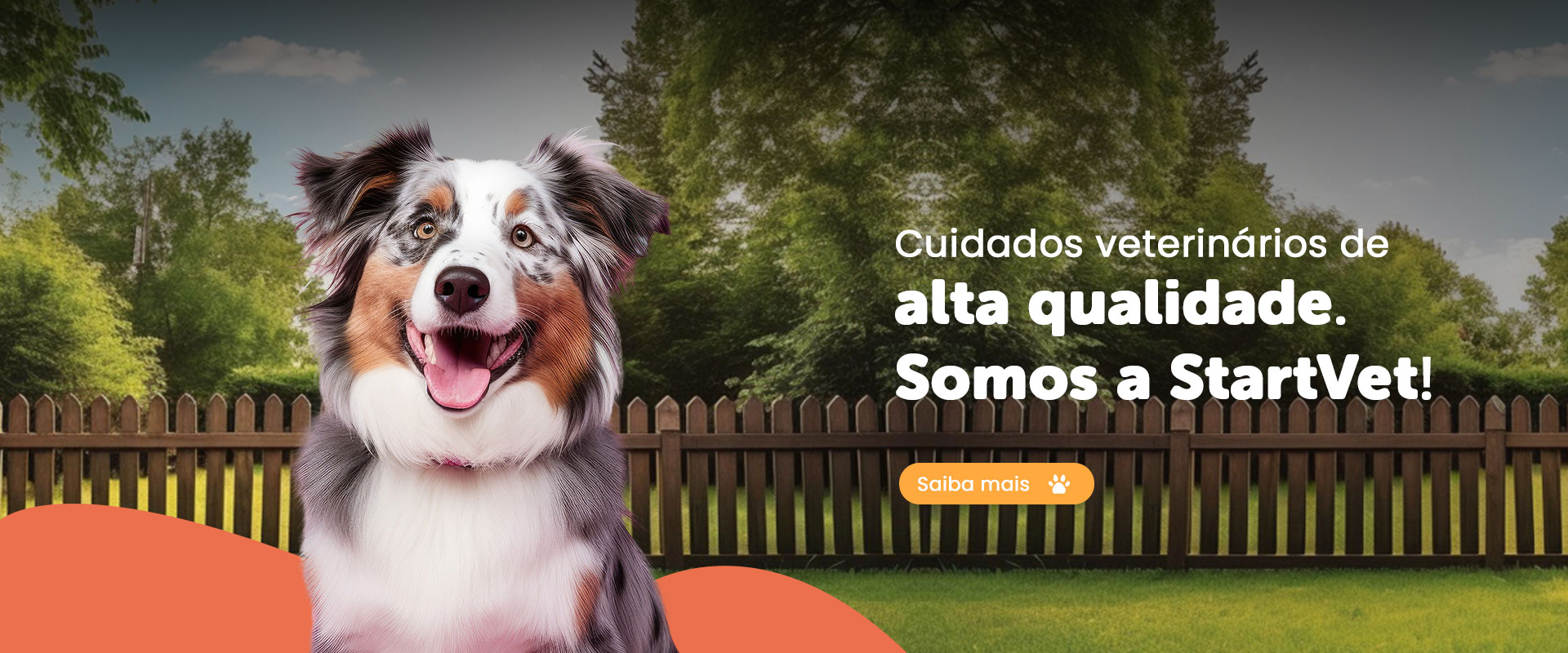 Startvet Telemedicina Veterinaria Ltda