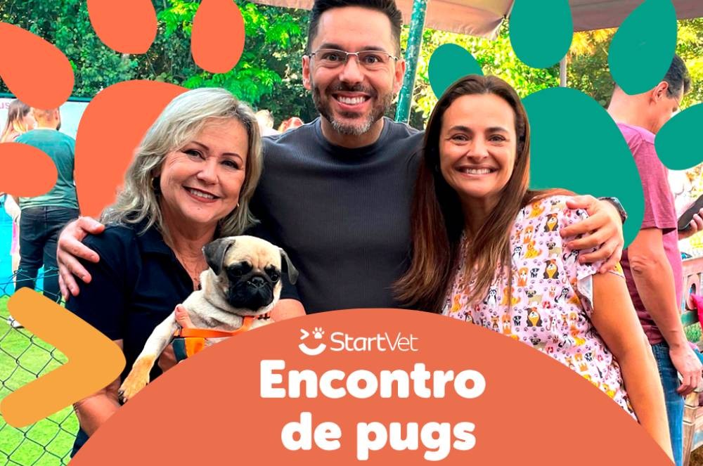Um domingo com a Hou House: evento reúne StartVet e Dr. Pug em um dia de cuidado e conexão