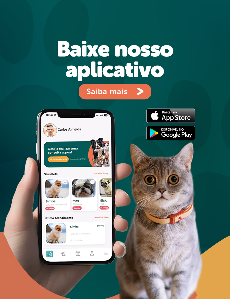 Baixe nosso aplicativo