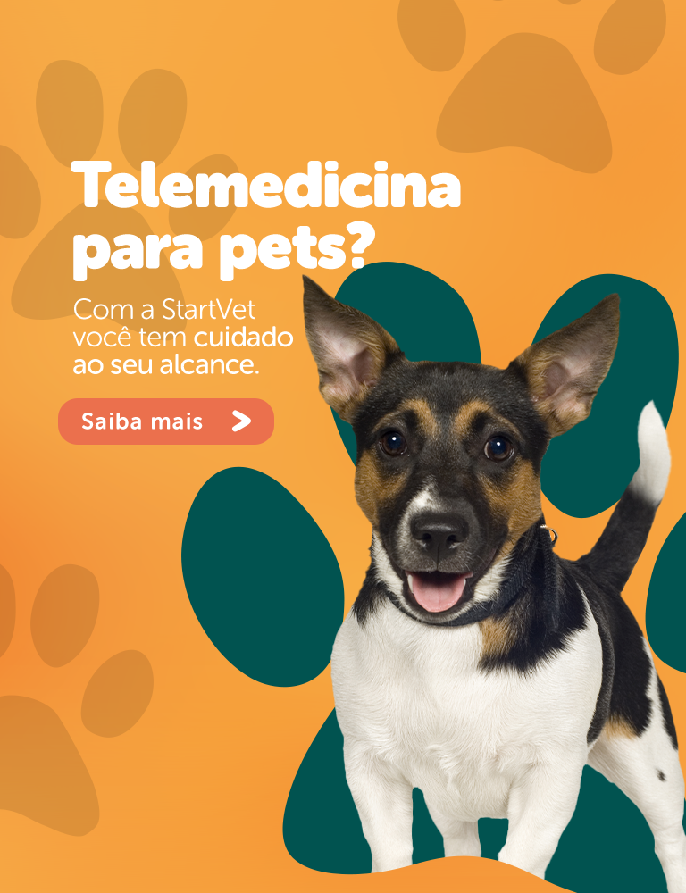 Telemedicina para pets