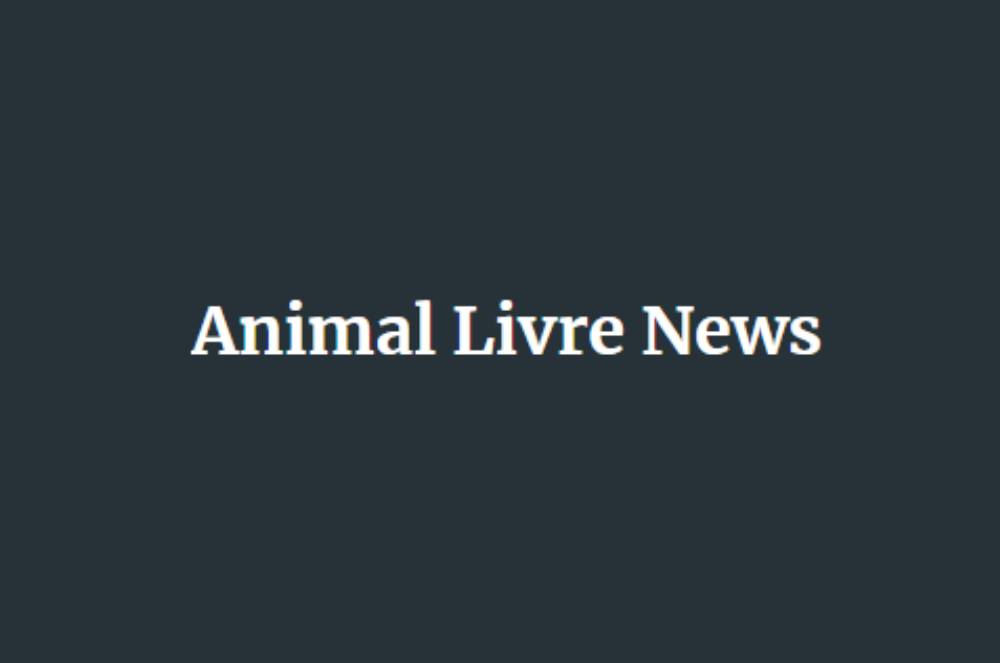 Animal Livre News
