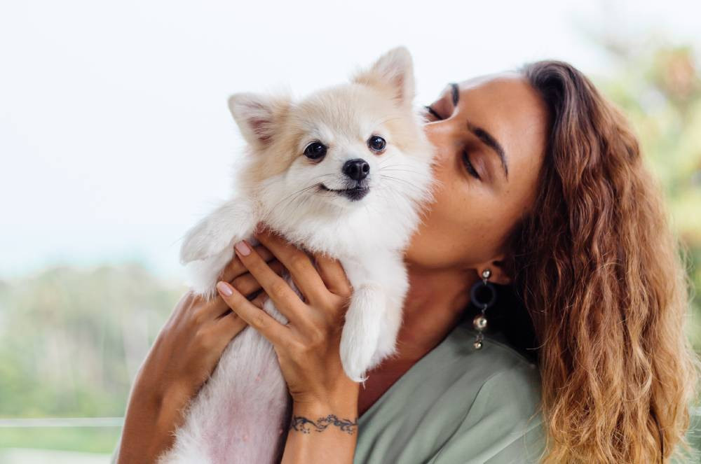 Descubra os Benefícios da Telemedicina Veterinária