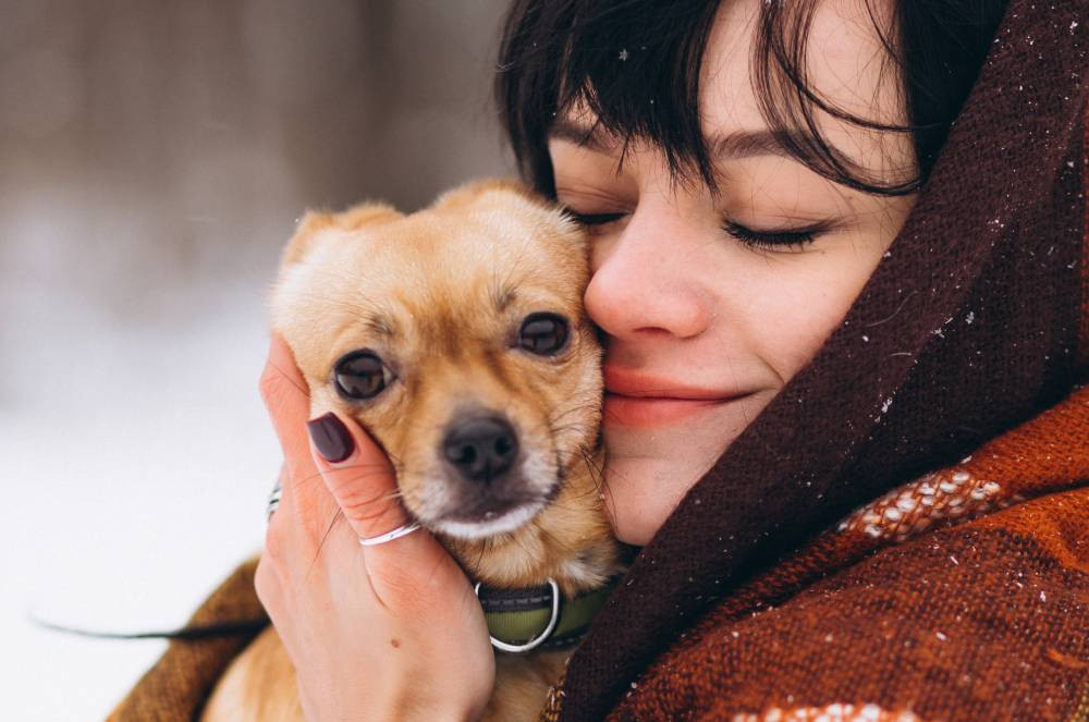 Cuidados com cães e gatos no inverno: veja como proteger seus pets