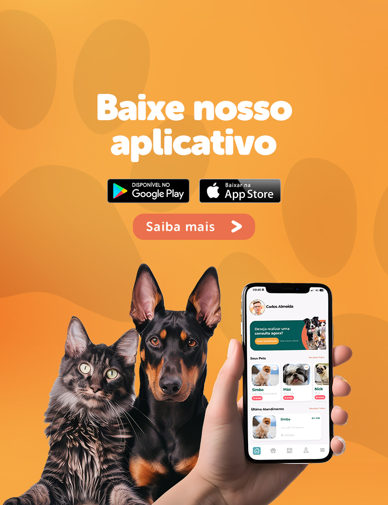 Baixe nosso app