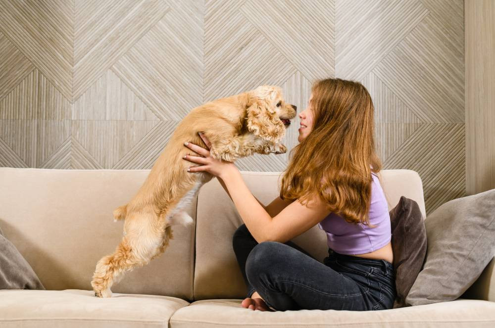 Mora em apartamento? Confira estratégias para adaptação do seu cachorro