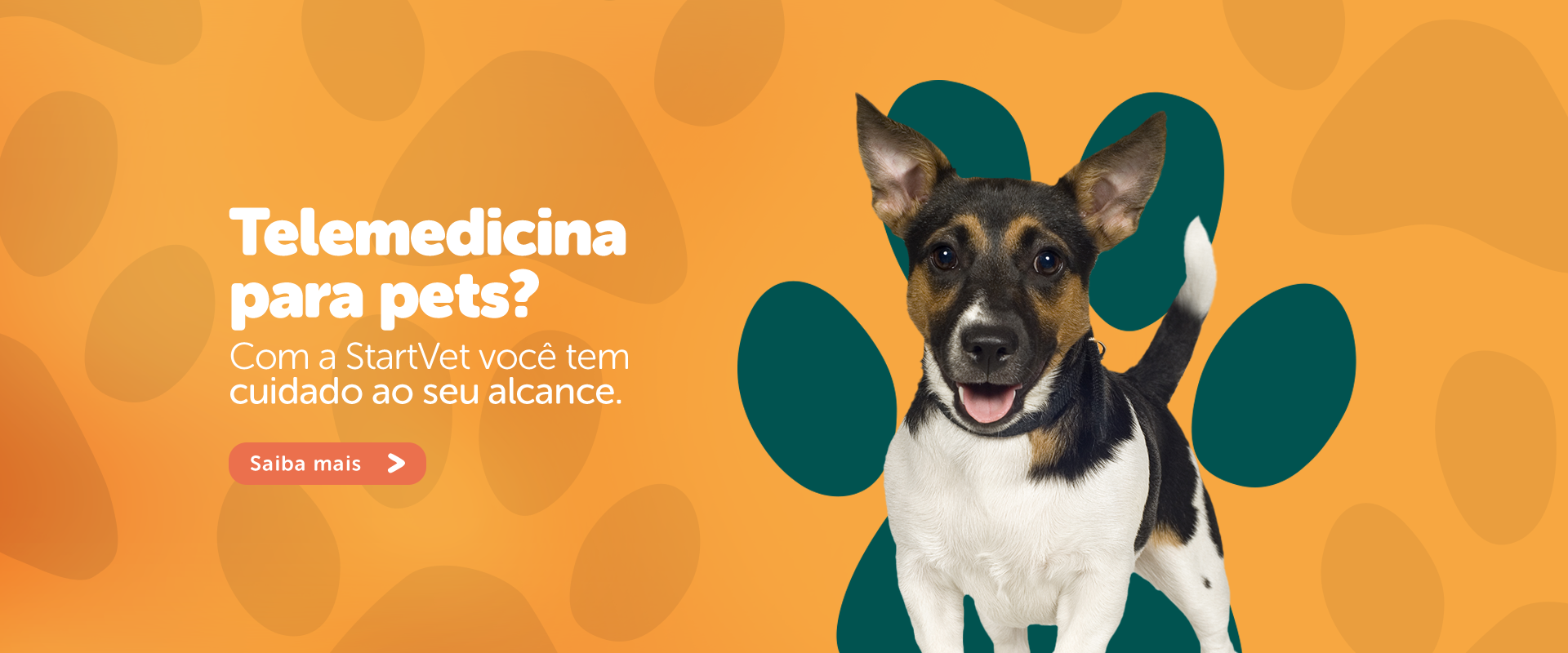 Telemedicina para pets