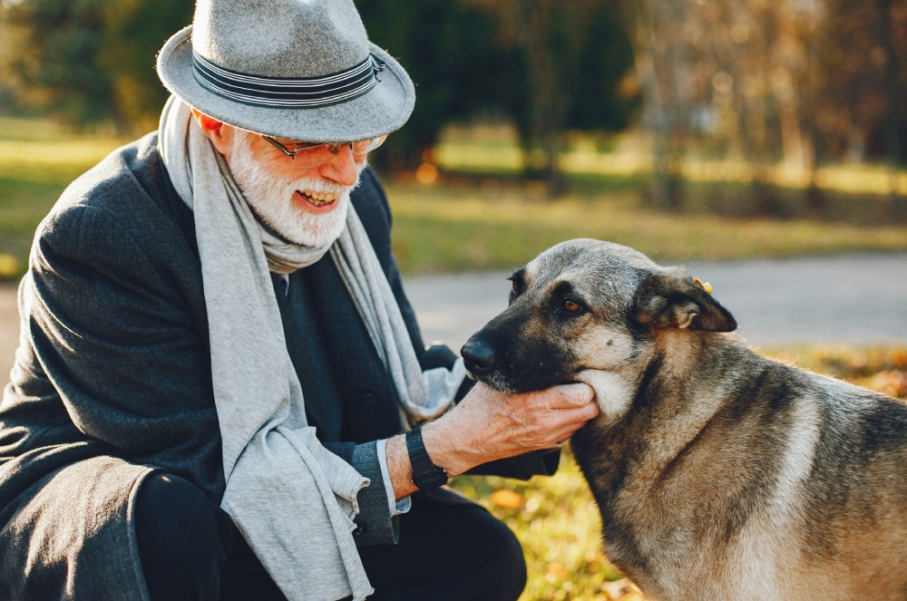 Pets: cães e gatos podem ajudar a frear o envelhecimento, diz estudo