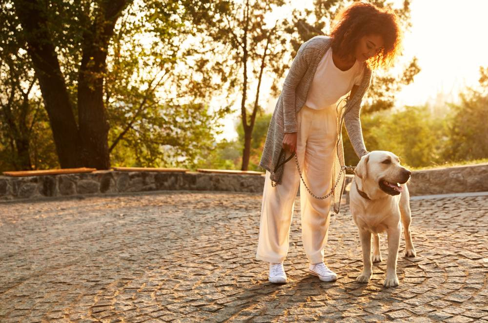 Coleira para cachorro: como escolher o tipo certo para seu cão