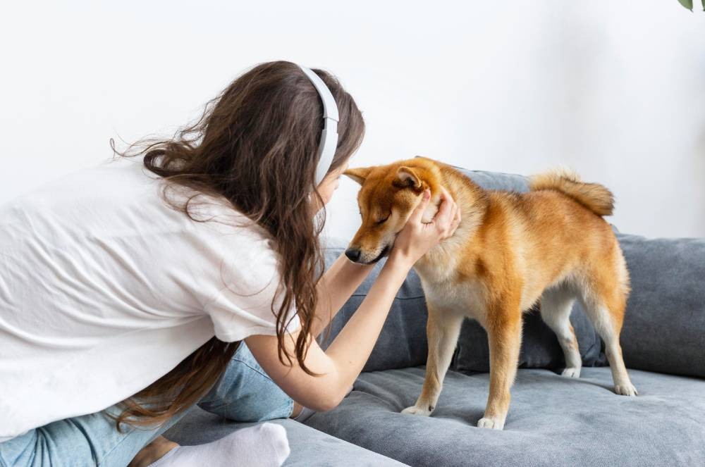 Acariciar cachorros faz bem à mente, aponta estudo