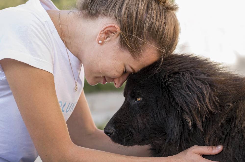 Como Cuidar do Seu Pet em Tempos de Queimada: Dicas Essenciais para a Saúde e Bem-Estar