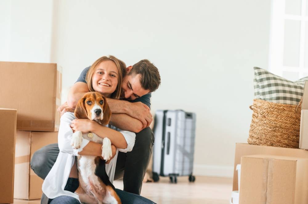 Mudanças na rotina? Confira como ajudar na adaptação dos pets